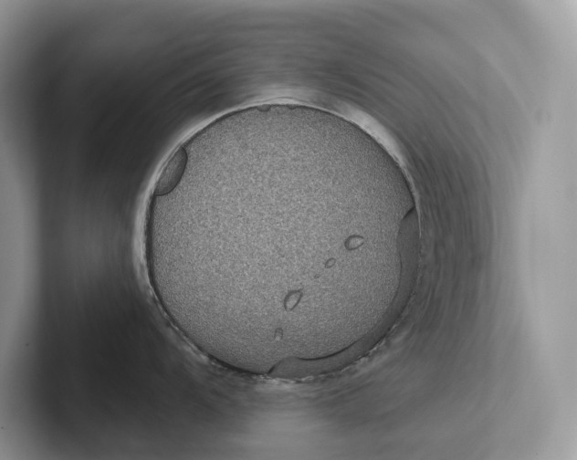 X0000101451104200807211307