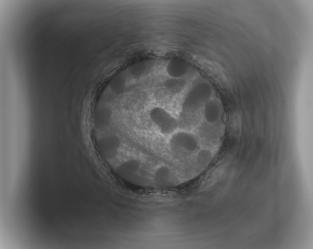 X0000101451105200807211307