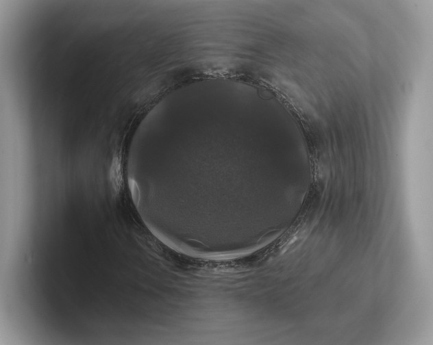 X0000101451106200807211307