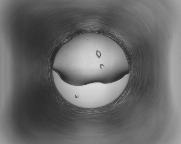 X0000101451108200807211307