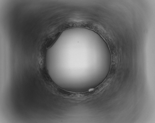 X0000101451109200807211307