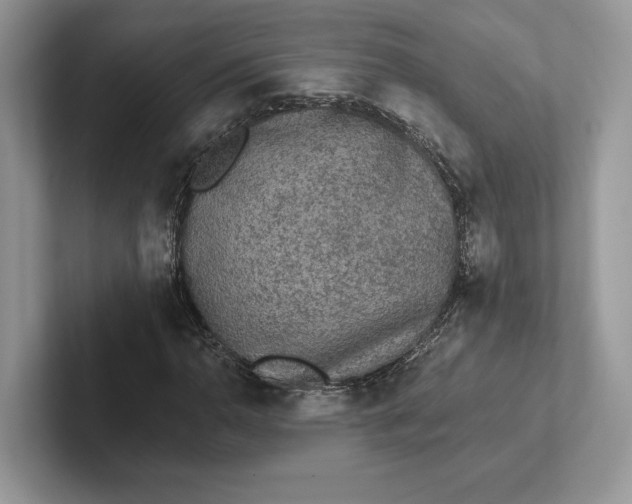 X0000101451110200807211307