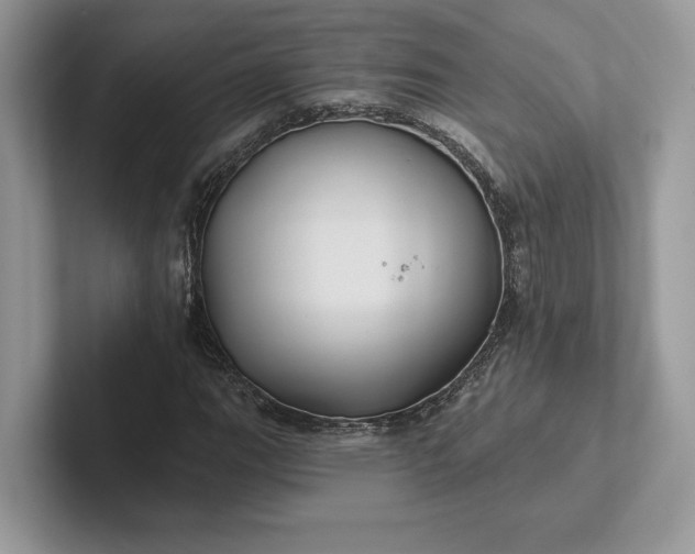 X0000101451111200807211307