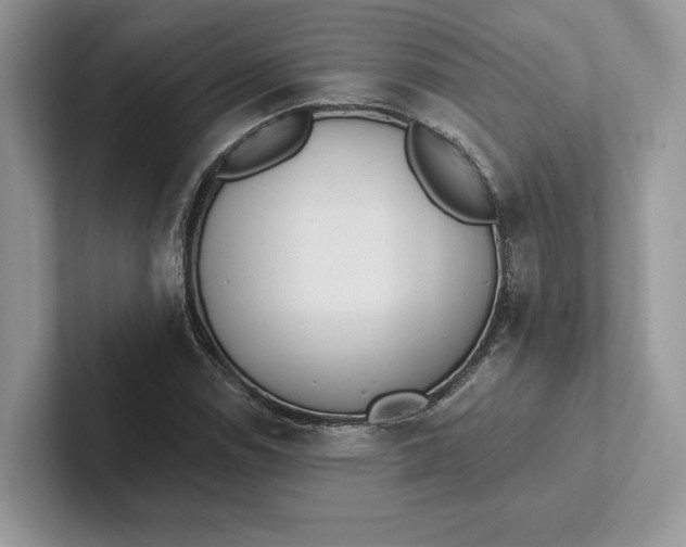 X0000101451114200807211307