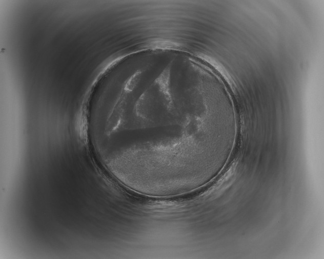 X0000101451115200807211307