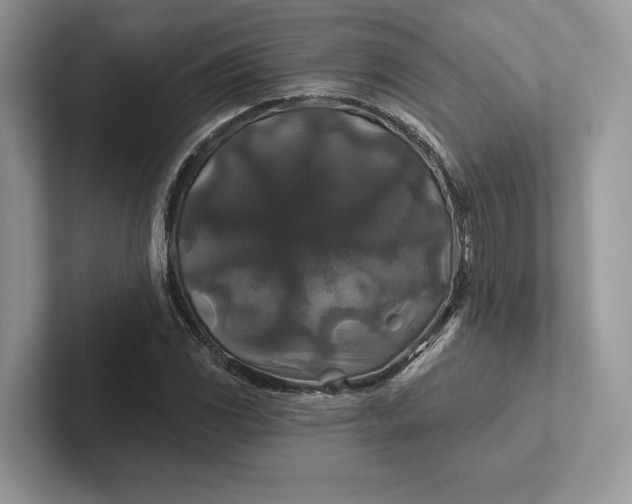 X0000101451117200807211307