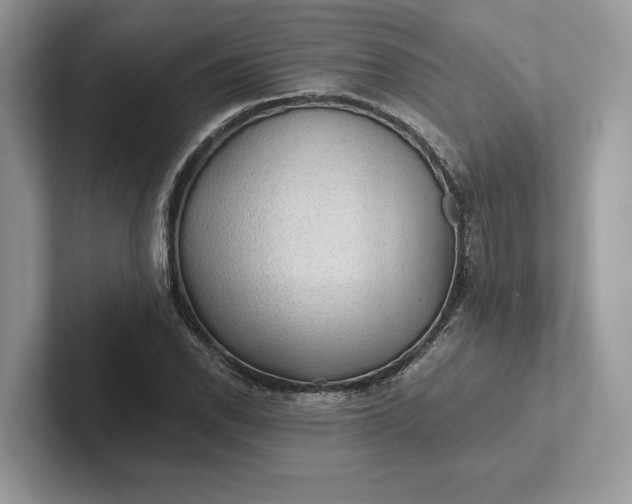 X0000101451118200807211307