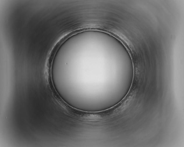 X0000101451119200807211307