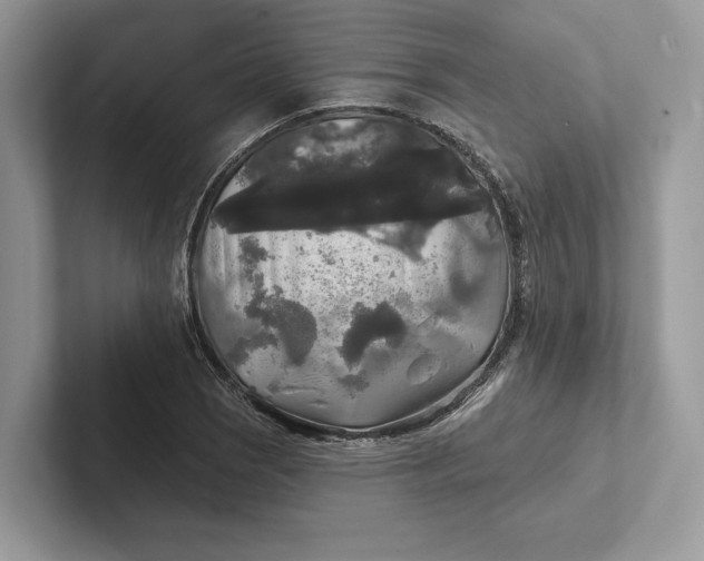 X0000101451121200807211307