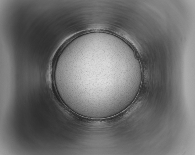 X0000101451124200807211307