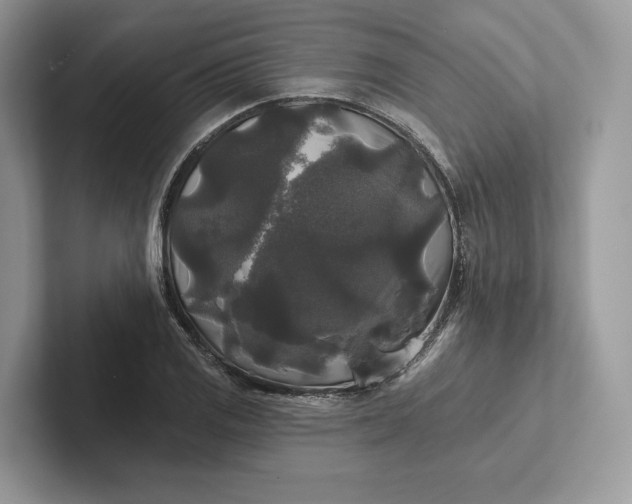 X0000101451125200807211307