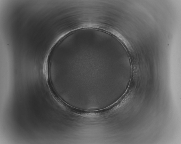 X0000101451127200807211307