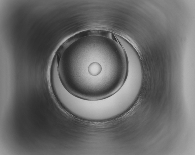 X0000101451128200807211307