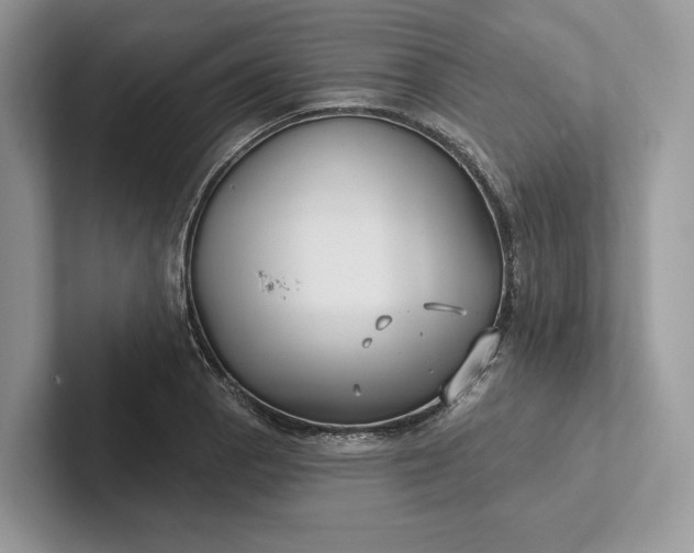 X0000101451129200807211307