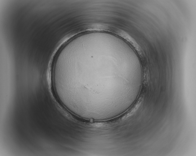 X0000101451130200807211307