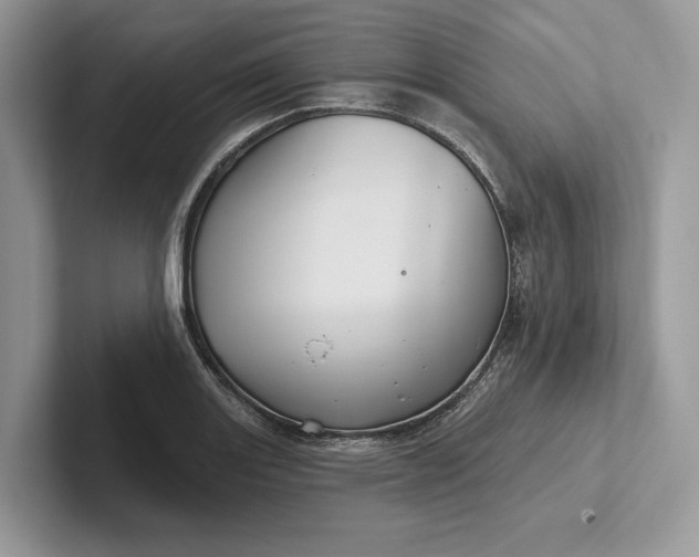 X0000101451131200807211307