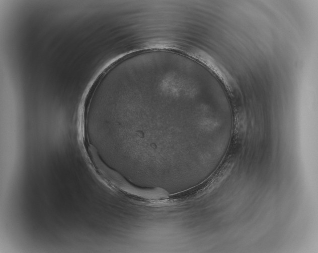 X0000101451132200807211307