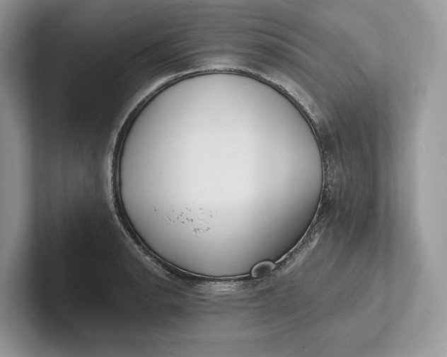 X0000101451134200807211307