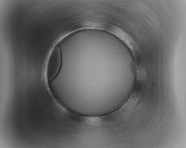 X0000101451136200807211307