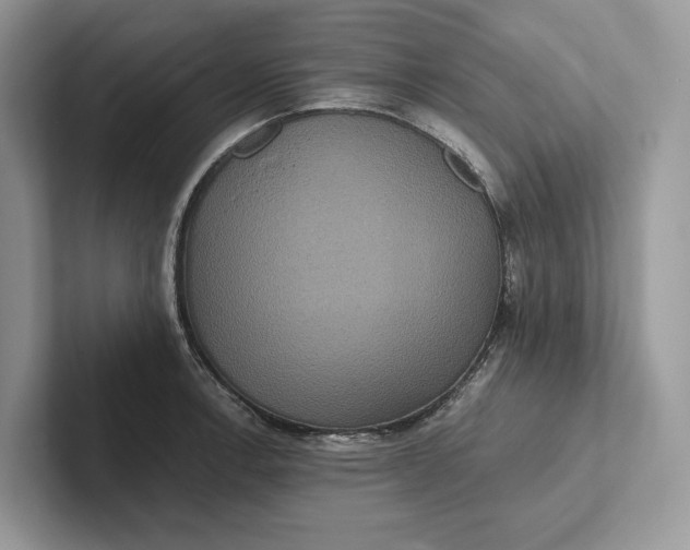 X0000101451138200807211307