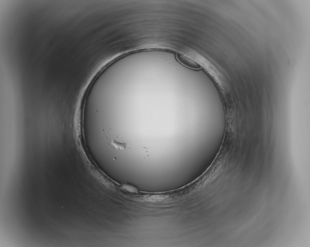 X0000101451140200807211307