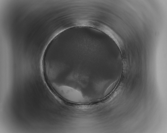 X0000101451141200807211307