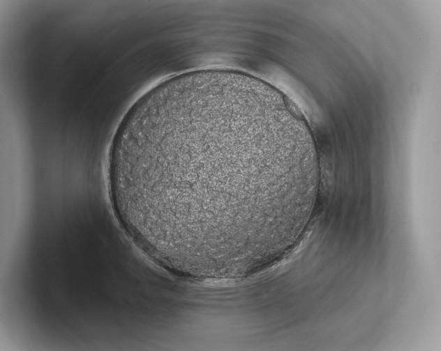 X0000101451142200807211307