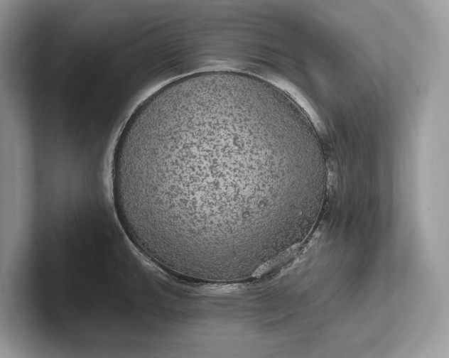 X0000101451143200807211307