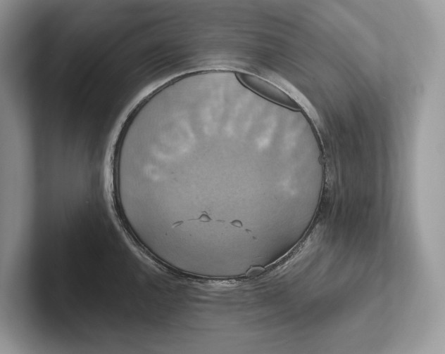 X0000101451144200807211307