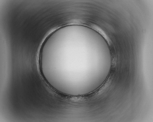 X0000101451146200807211307