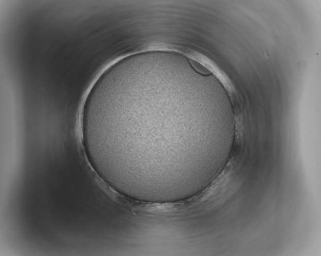 X0000101451148200807211307