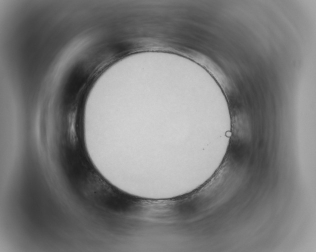 X0000101451150200807211307