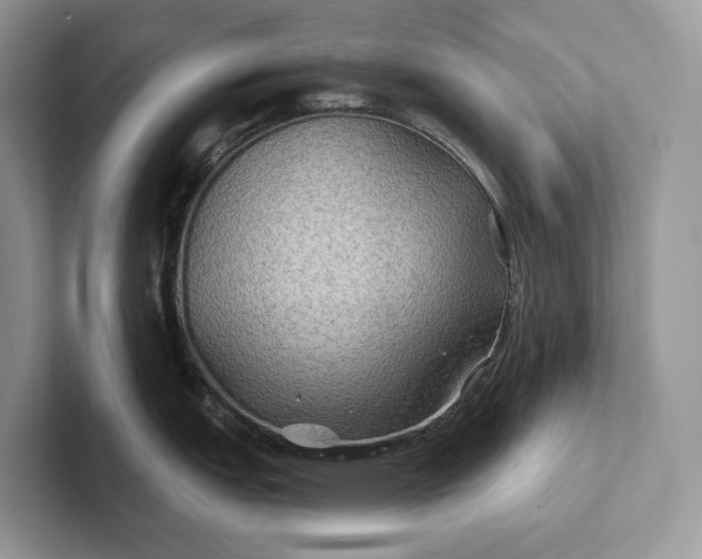 X0000101451151200807211307