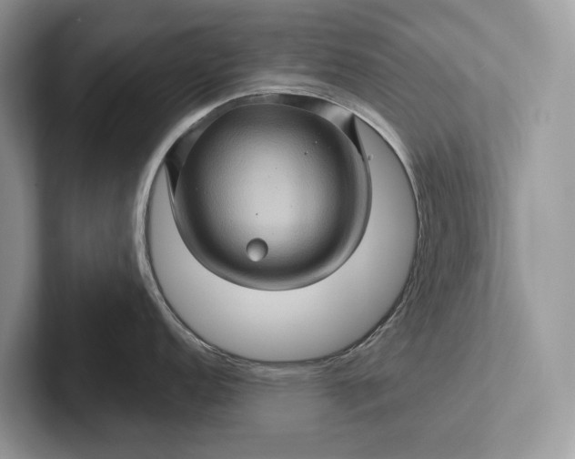 X0000101451152200807211307