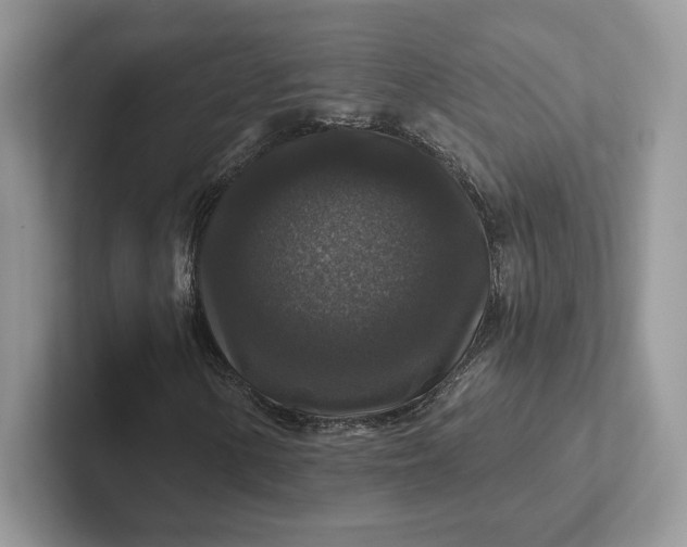 X0000101451154200807211307