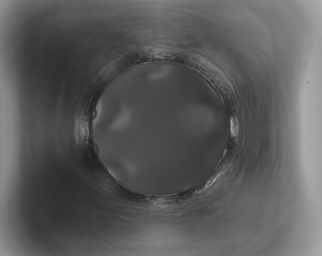 X0000101451155200807211307