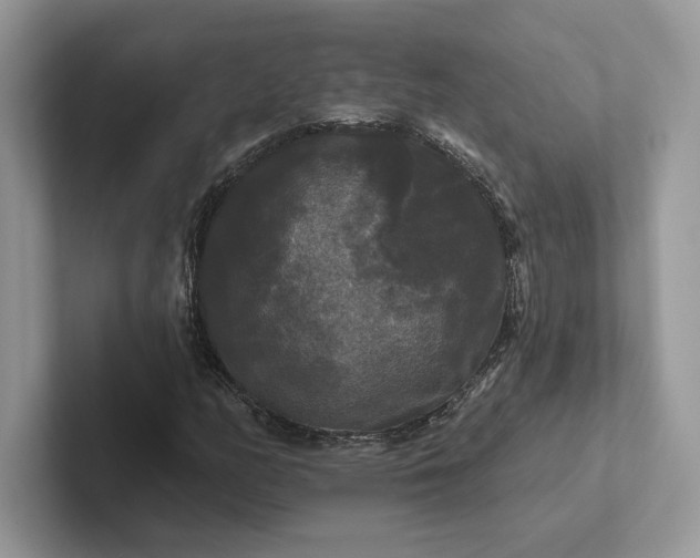 X0000101451158200807211307