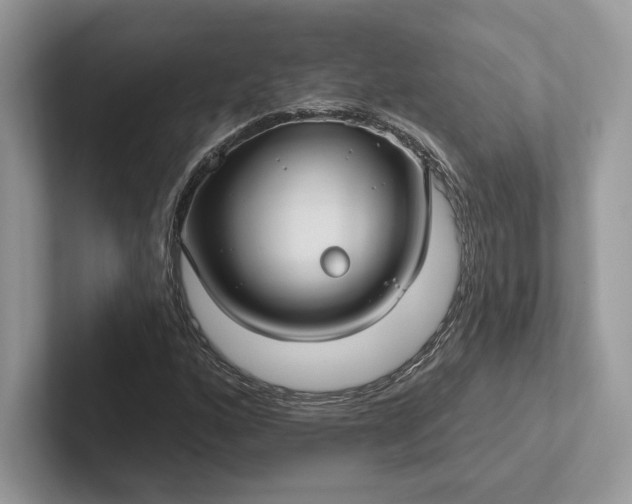 X0000101451160200807211307