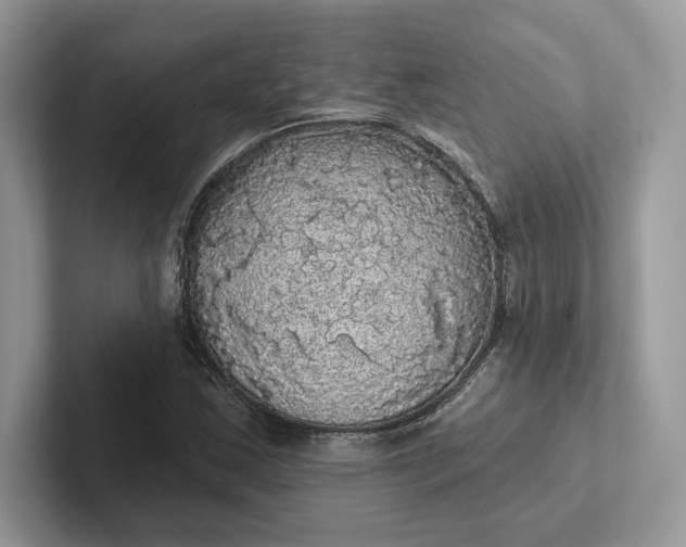 X0000101451163200807211307