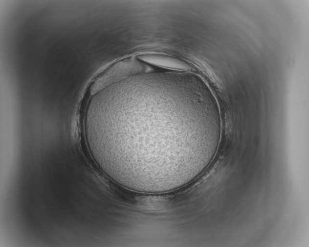 X0000101451164200807211307