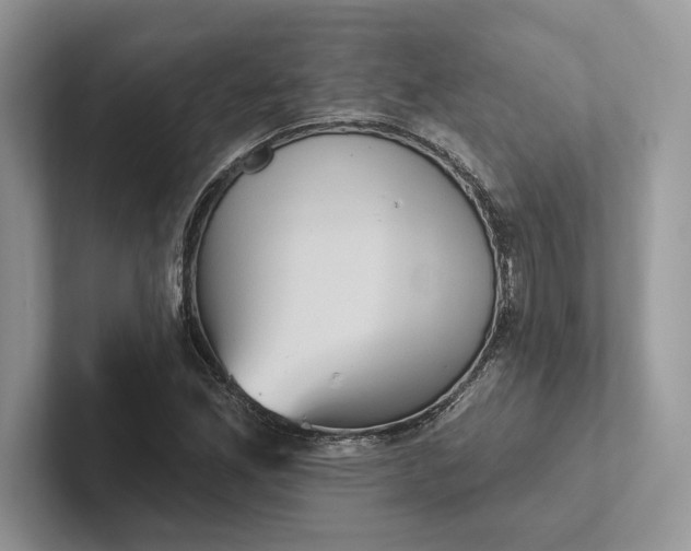 X0000101451165200807211307