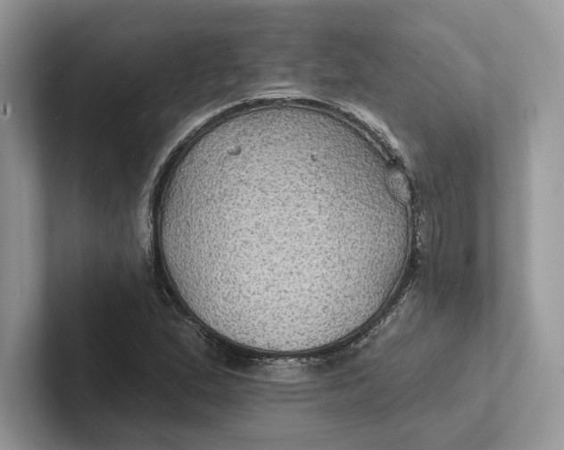 X0000101451167200807211307