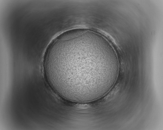 X0000101451168200807211307