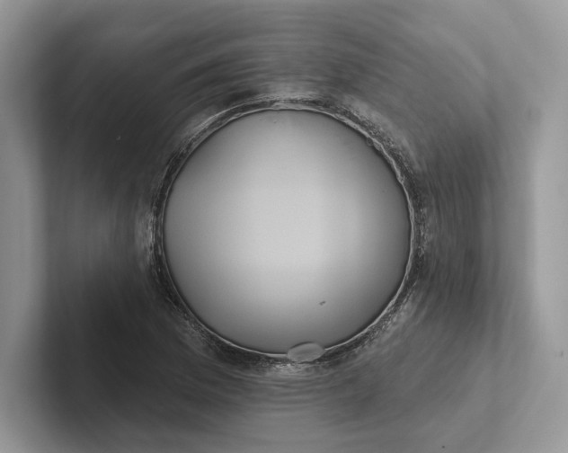 X0000101451169200807211307