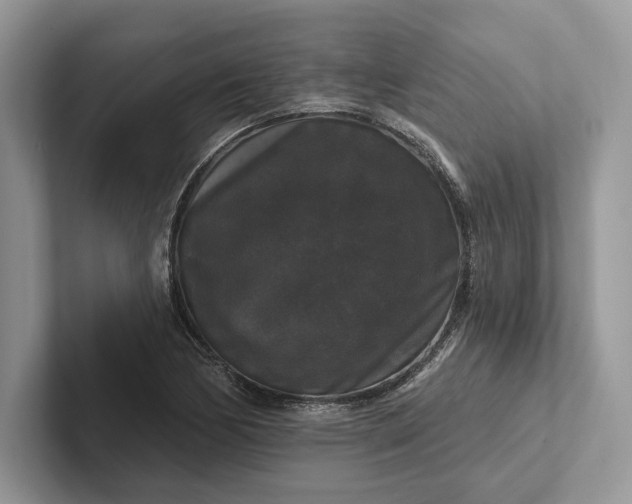 X0000101451170200807211306