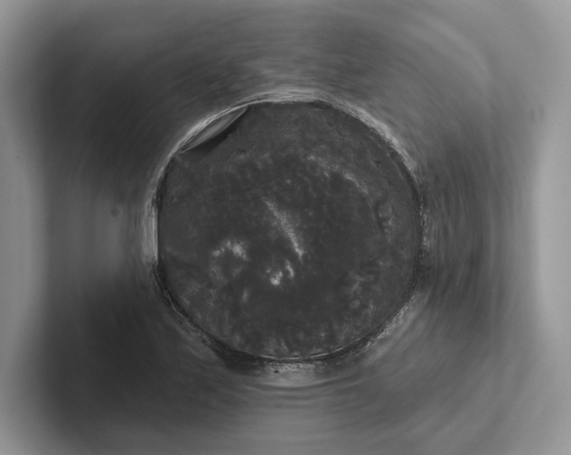 X0000101451171200807211306