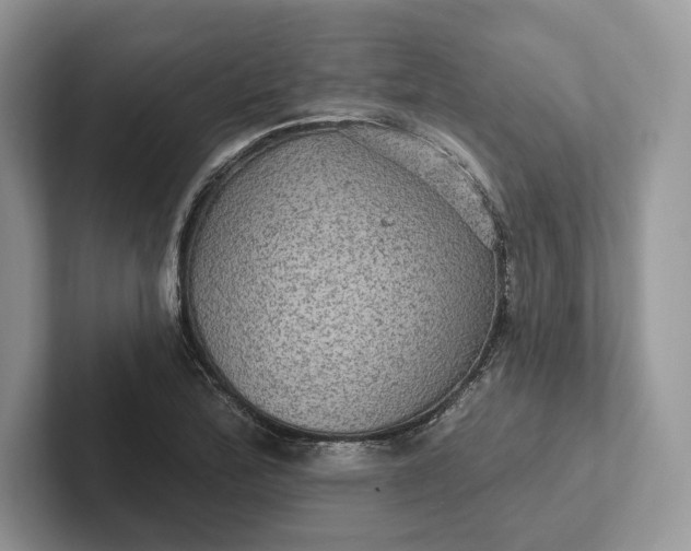 X0000101451172200807211306