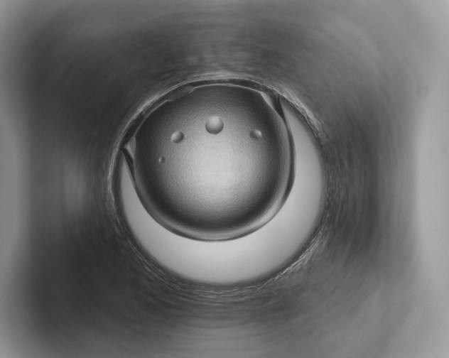 X0000101451173200807211306