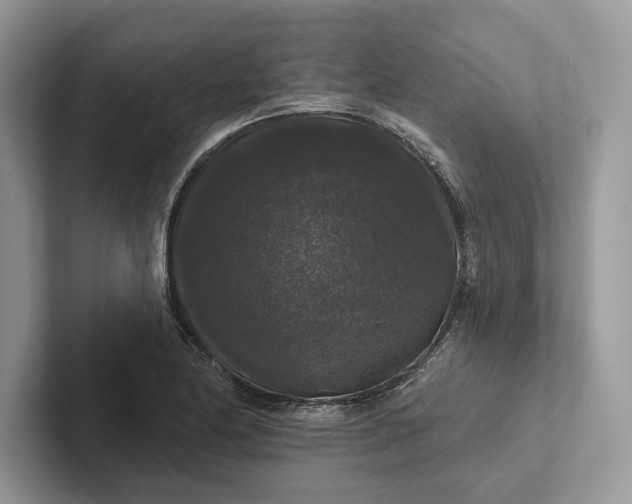 X0000101451174200807211306