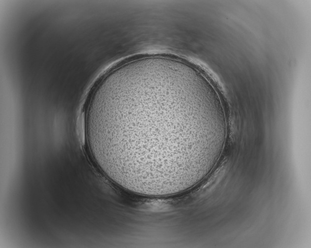 X0000101451175200807211306